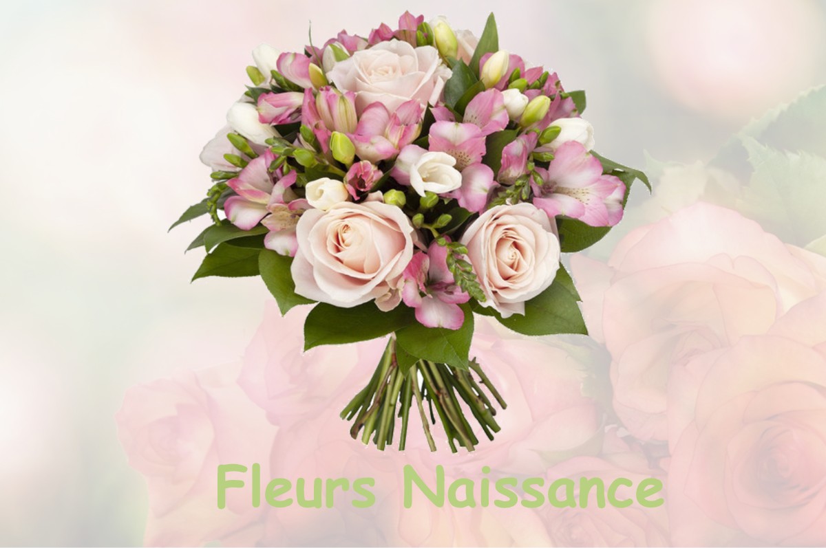 fleurs naissance MELLEROY