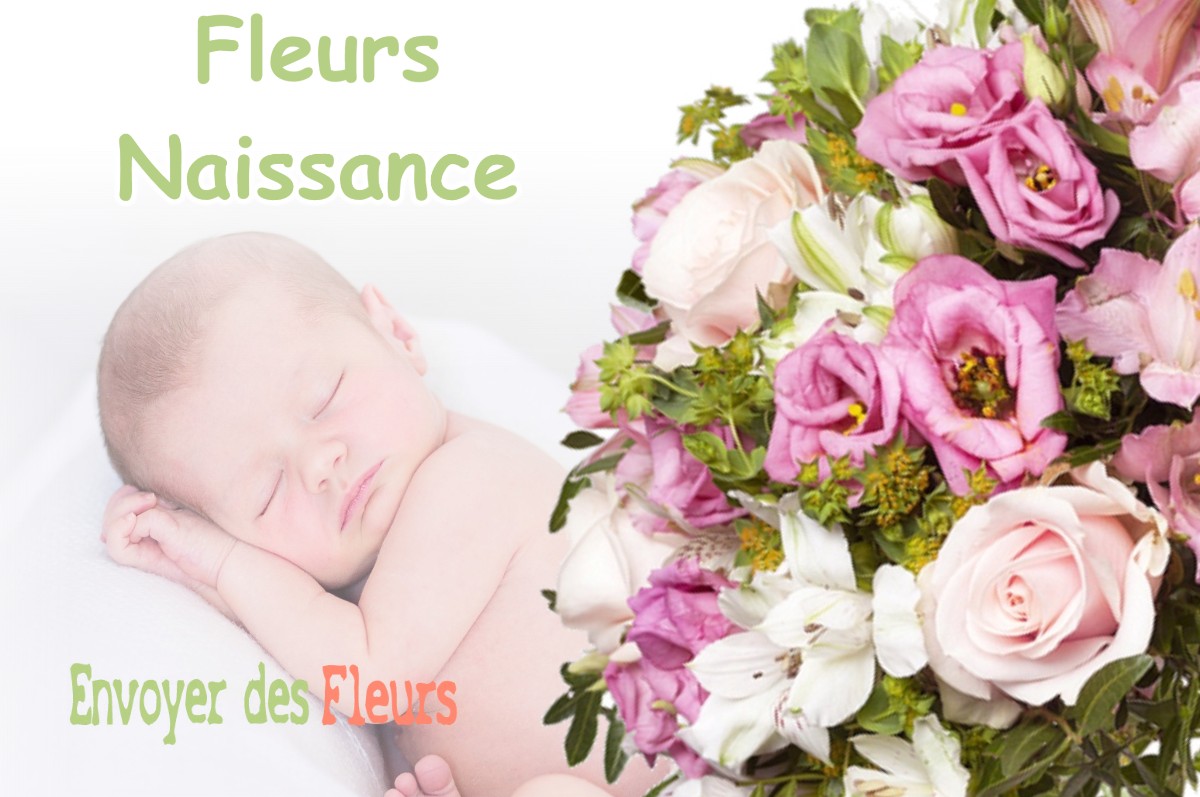 lIVRAISON FLEURS NAISSANCE à MELLEROY